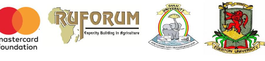 ruforum scholarships